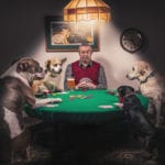 gratisography-man-dogs-playing-cards-small-thumbnail